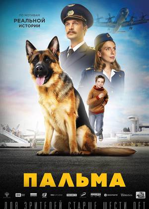 ������ (6+)