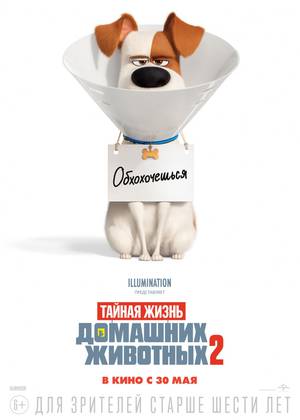 ������ ����� �������� �������� 2 (6+)