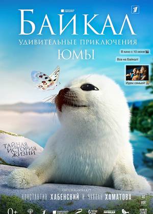 ������. ������������ ����������� ��� (0+)