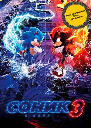 Соник 3 (предсеанс. обсл) &